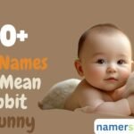 350+ Cute Baby Names That Mean Rabbit or Bunny